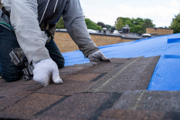 Best Metal Roofing Contractor  in Two Harbors, MN
